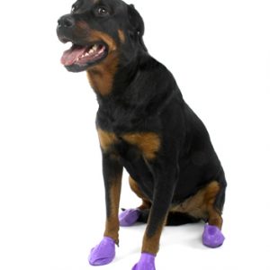 pawz max wax
