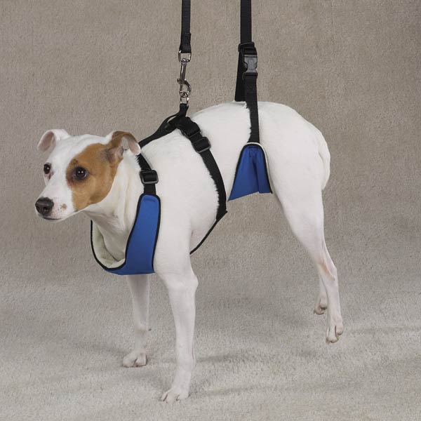 dog grooming harness uk