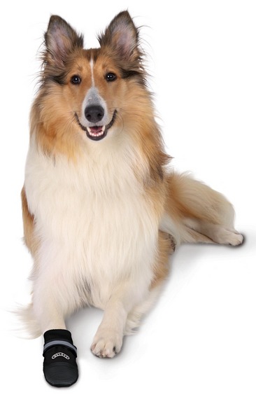 Canine booties discount