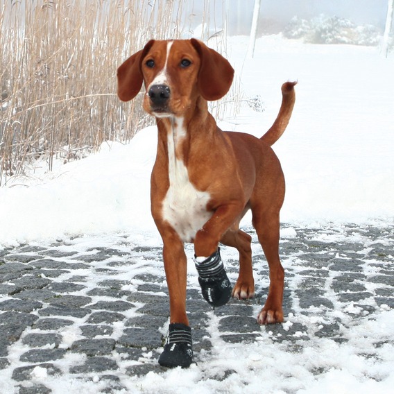 TRIXIE WALKER ACTIVE BOOTS
