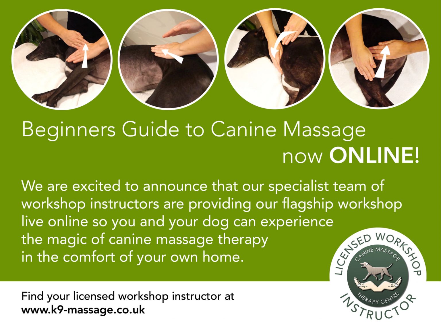 Beginners Guide to Canine Massage Canine Massage Therapy Centre